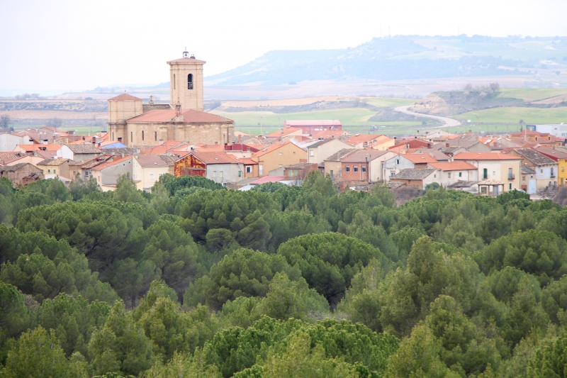 8 RAZONES que hacen a la RIBERA DEL DUERO líder