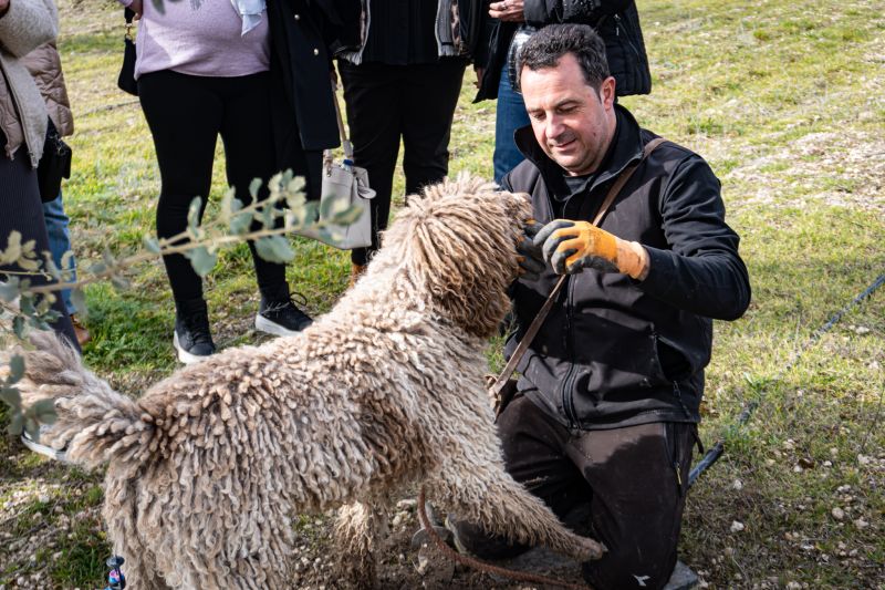 Hombre con un perro