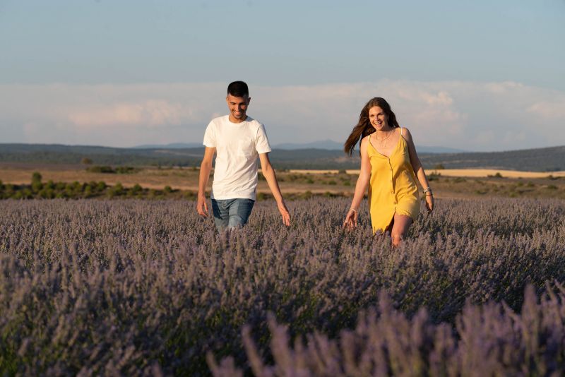 Campo de lavanda