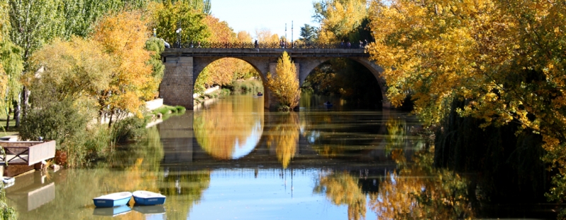 PUENTES sobre el río Duero