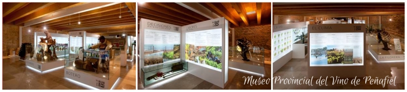 Museos del Vino