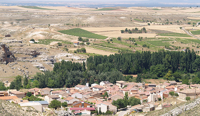 La Ruta del Vino Ribera del Duero SEGOVIANA