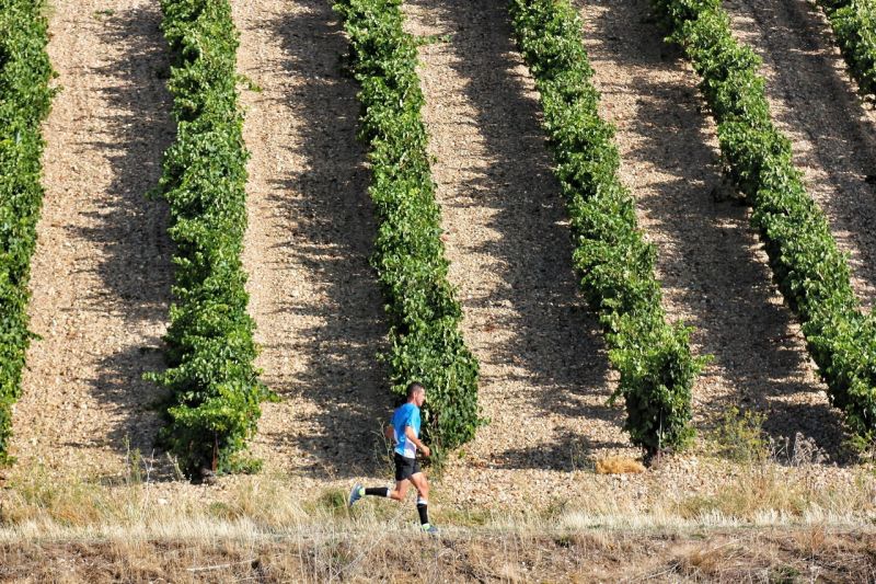 Son muchos los deportistas que viajan a diferentes lugares buscando actividades deportivas que poder realizar. Algunas veces, solo buscan espacios donde poder correr, hacer rutas caminando, coger su bicicleta o realizar algún deporte acuático. La Ruta del Vino Ribera del Duero está plagada de sitios estupendos en los que poder hacer deporte con muchas variantes.

Sin embargo, para todas aquellas personas que persiguen un nivel diferente de superación, existen multitud de carreras y competiciones individuales que se pueden realizar en la Ruta. En este artículo queremos contarte algunas de ellos e invitarte a que sigas nuestra agenda para descubrir todos los eventos deportivos que preparan nuestros socios.

Vuelta ciclista Junior a la Ribera del Duero
La segunda mitad de agosto es desde 2016 el momento escogido por el Ayuntamiento de Aranda de Duero para invitar a las categorías junior de equipos ciclistas españoles y de fuera para celebrar una particular vuelta ciclista que recorre gran parte de la Ribera del Duero.

En su sexta edición, 2022, La Vuelta Ciclista Junior a la Ribera se celebra durante los días 19, 20 y 21 de agosto con tres etapas diferentes:

Etapa 1, Caleruega – Pedrosa de Duero. En esta primera etapa se recorrerán 102 km por carreteras de Burgos y Valladolid.
Etapa 2, Langa de Duero – San Esteban de Gormaz. La segunda etapa unirá Langa de Duero y San Esteban de Gormaz, con un total de 94 kilómetros de recorrido por las provincias de Soria, Burgos y Segovia.
Etapa 3, Aranda de Duero – Tierra Aranda. En la última jornada de la Vuelta a la Ribera, el pelotón afrontará 115 kilómetros entre la salida, ubicada en Aranda de Duero, y la meta, que se situará en las instalaciones de Bodega Tierra Aranda, tras recorrer carreteras de Burgos, Soria y Segovia.
Encuentra más información aquí.

Ribera Run Experience
Ribera Run Experience es una de las carreras más sorprendentes que se celebran en la Ribera del Duero. En esta ocasión, nos trasladamos hasta tierras vallisoletanas y ponemos el punto de mira en Peñafiel. Esta particular competición tiene la particularidad de haber sido replicada en otra de las denominaciones de origen más conocidas del mundo, Mendoza en Argentina. Tiene un vínculo muy especial con el mundo del vino y ha convertido a varias de las bodegas de los alrededores de Peñafiel en parte del recorrido como paradas de avituallamiento.  

En 2022, la carrera se celebrará el 17 de septiembre y cuenta con el apadrinamiento de Mikel Erentxun.

Encuentra más información aquí.

Milla urbana de Aranda
Una milla son 1.609 metros y en Aranda de Duero este kilómetro y pico se corre por las calles del centro de la ciudad. Este evento deportivo, que suele realizarse en el mes de mayo, cuenta ya con casi cuarenta ediciones y reúne a grandes corredores, muchos de ellos olímpicos.

En este 2022, la trigésima octava edición ha formado parte de los eventos promocionados por el Ayuntamiento para la celebración de la Ciudad Europea del Vino.

Cross de la Constitución
Continuamos en Aranda de Duero para irnos hasta el último mes del año, concretamente. Se trata del Cross de la Constitución, uno de los eventos deportivos más importantes de la zona. También muy cerca de las 40 ediciones, esta carrera atrae la atención de grandes corredores profesionales de diferentes partes del mundo.

Aunque el frío suela ser un importante protagonista del evento, nunca falta el calor del público que se acerca a disfrutar de una buena carrera.

Corriendo entre viñas
Organizado por la Diputación de Valladolid, este evento busca la promoción de las diferentes Denominaciones de Origen que se encuentran en la provincia. Esta carrera, que en 2022 se celebrará el 13 de noviembre en Peñafiel, es sin duda una forma de conocer a fondo los caminos que rodean nuestro mayor tesoro natural, las viñas.

Lo mejor de esta prueba deportiva es que, además, de ser puntuable y contar con diferentes premios, invita a los participantes a conocer mucho mejor la zona en la que se realiza la competición. De esta manera, quiénes se acercan a correr podrán realizar turismo de una forma única.

Otros eventos que no te puedes perder
Estos cinco, son solo un pequeño ejemplo de los eventos deportivos con los que contamos en esta zona y que reúnen a muchos deportistas profesionales y aficionados a lo largo del año. Sin embargo, te dejamos esta lista de eventos que desde luego no puedes perderte si lo que te gusta es disfrutar de un buen paisaje mientras hacer deporte:

Travesía Nocturna de Fuentecén
Cronoescalada Nocturna al Castillo de Peñafiel
Higuero Running Festival en Aranda de Duero
BTT de Fuentespina
BTT de Milagros
Triatlón Villa de Aranda
Cross Solidario entre Viñedos en Roa de Duero, organizado por Red Solidaria Ribera
Carrera entre bodegas en Sotillo de la Ribera