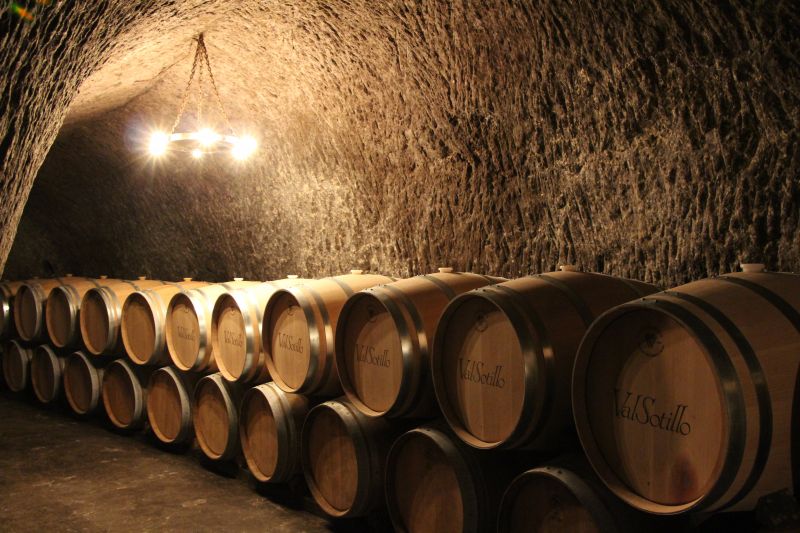 Bodegas con proyectos sostenibles