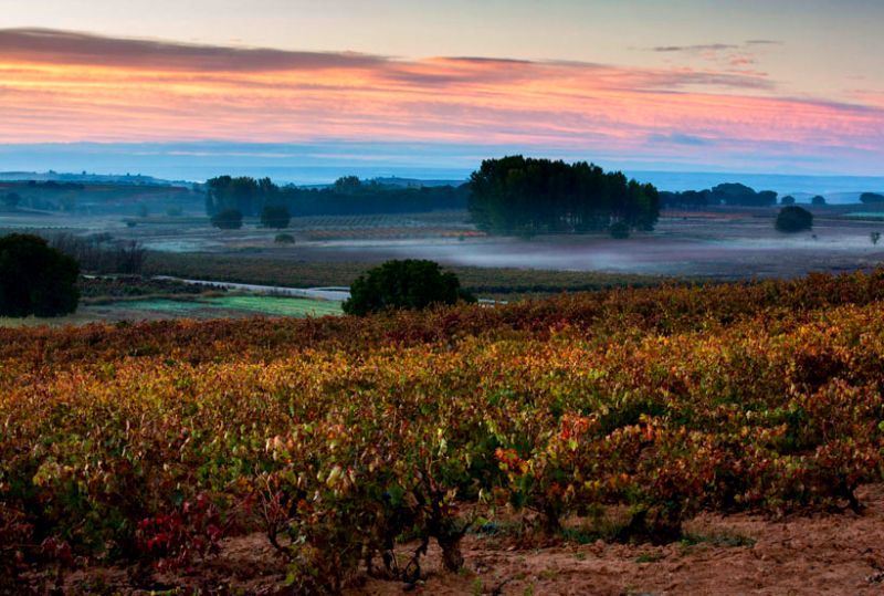 Porque sabemos que te encanta disfrutar de la naturaleza en otoño, te presentamos 5 opciones para que durante estos meses descubras 5