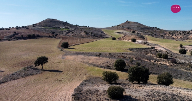 La Ribera del Duero