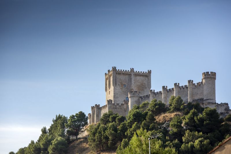 Ruta del vino Ribera del Duero