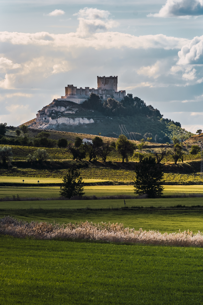 Castillo de Peñafiel 