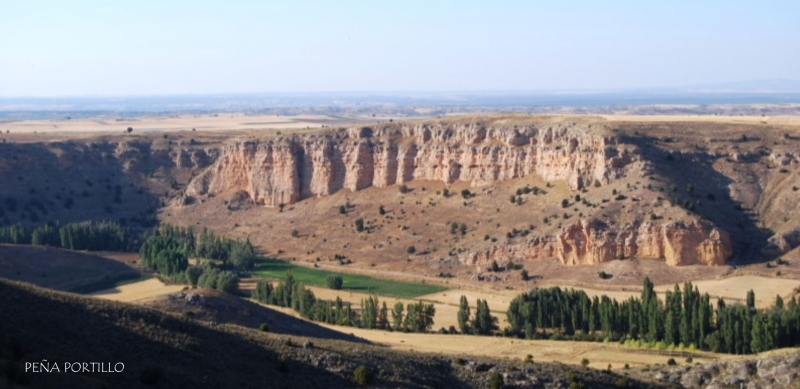 Árboles Singulares