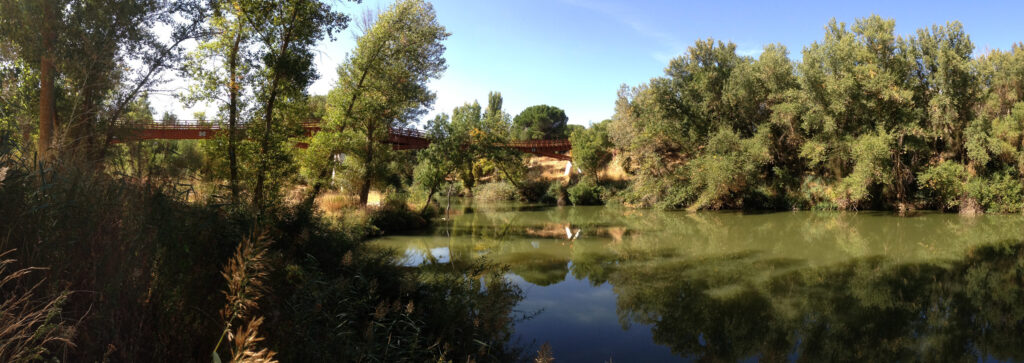 Como eje vertebrador de nuestra Ruta del Vino, el río Duero merece un reconocimiento a la altura de su influencia en el devenir de la historia