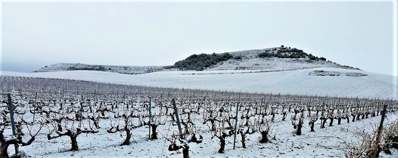 Navidad en la Ruta del Vino 