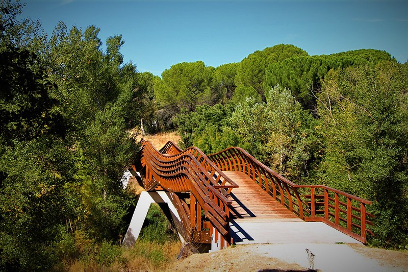 Ruta del Vino Ribera