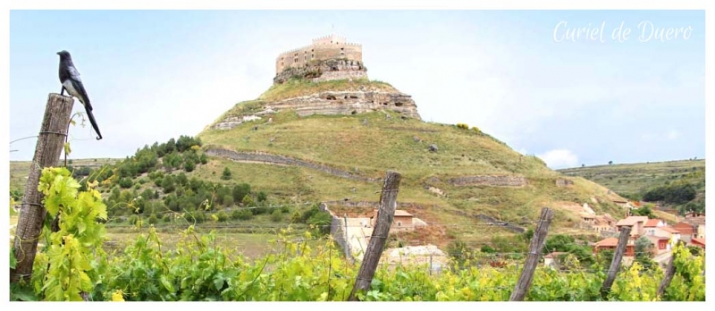 arquitectura románica en la Ribera del Duero