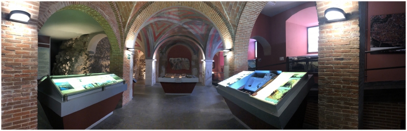 Museos del Vino