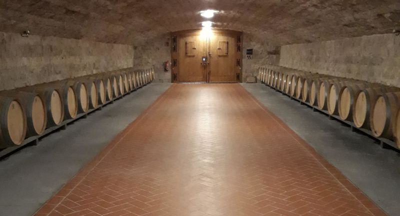 ¿Conoces las bodegas con wine bar de la Ruta del Vino Ribera del Duero? Te contamos más para que puedas visitarlas.