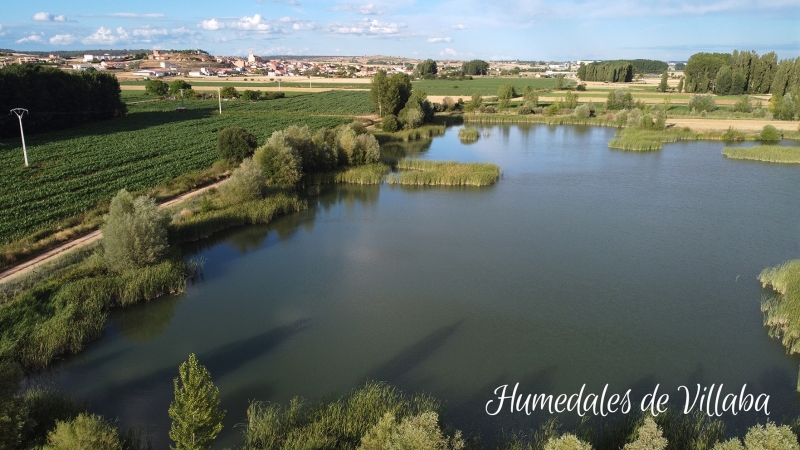 La Ribera del Duero