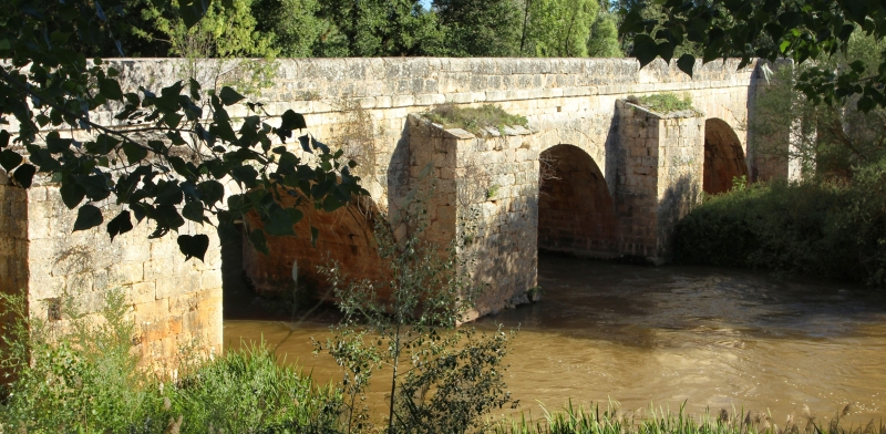 PUENTES sobre el río Duero