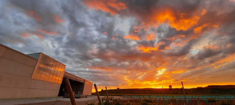 ¿Conoces las bodegas con wine bar de la Ruta del Vino Ribera del Duero? Te contamos más para que puedas visitarlas.