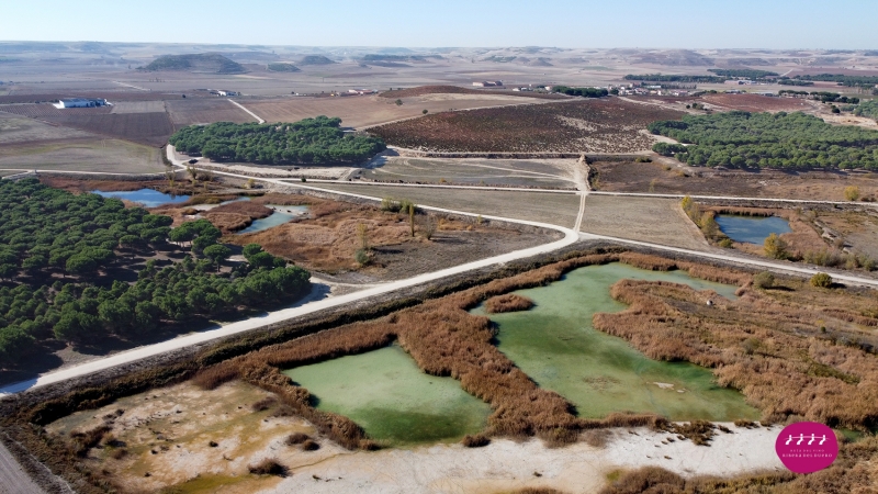 La Ribera del Duero