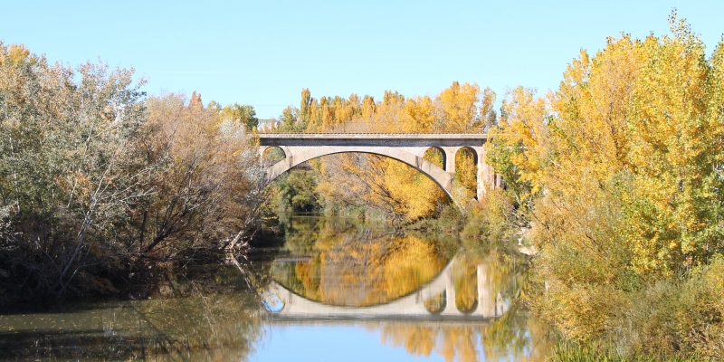 PUENTES sobre el río Duero