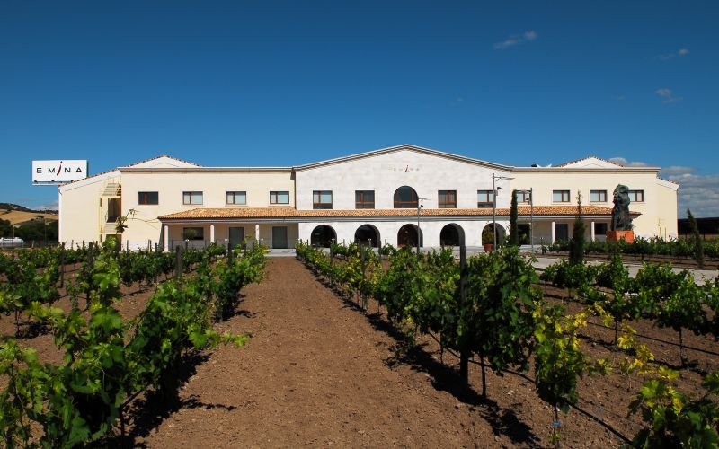 ¿Conoces las bodegas con wine bar de la Ruta del Vino Ribera del Duero? Te contamos más para que puedas visitarlas.