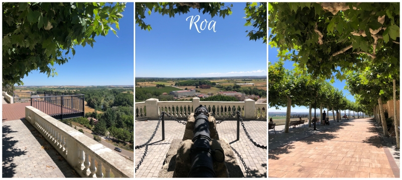 La estratégica posición de nuestra comarca ha convertido a la Ribera del Duero en un privilegiado escenario histórico,