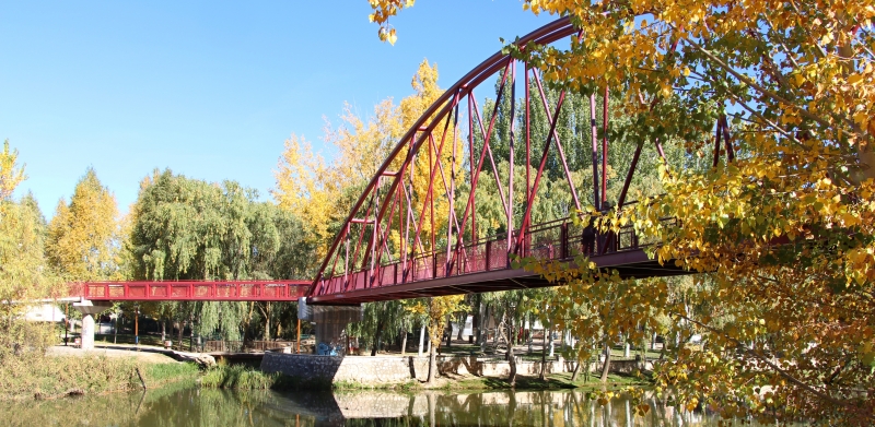 PUENTES sobre el río Duero