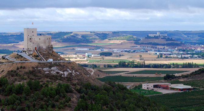 ¿Conoces las bodegas con wine bar de la Ruta del Vino Ribera del Duero? Te contamos más para que puedas visitarlas.