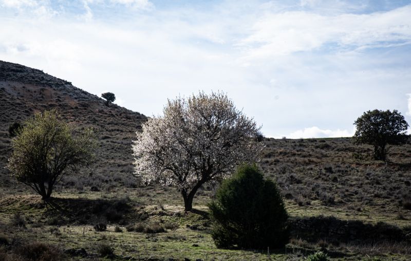 5 planes de primavera