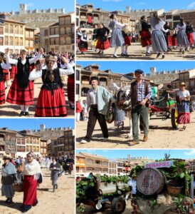 vendimia peñafiel