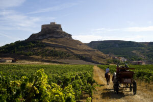 Más de 378.000 enoturistas eligieron en 2017 la Ruta del Vino Ribera del Duero